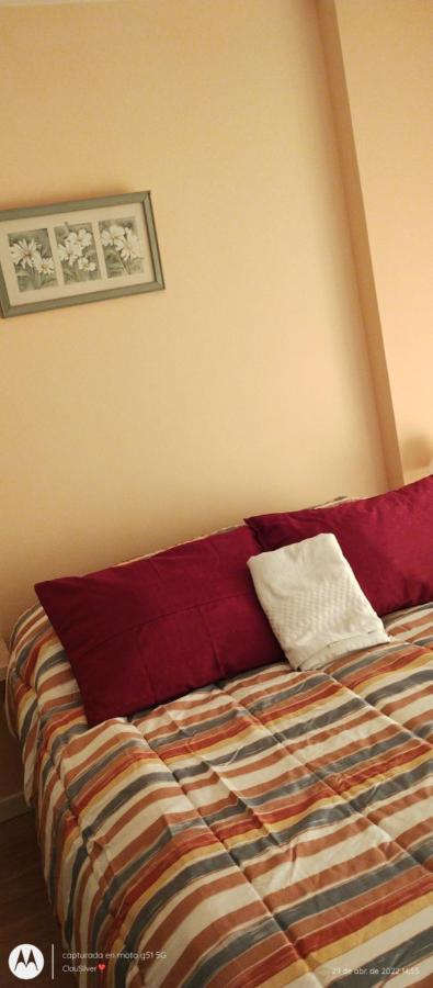 Acogedor Monoambiente Con Parking Apartman Neuquén Kültér fotó